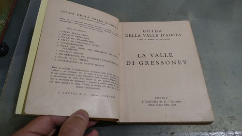 Guida delle valli d aosta - guida,