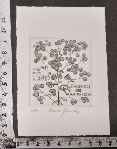 Wunderkammer exlibris 100 - wunderkammer,